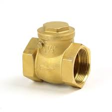 Brass swing check